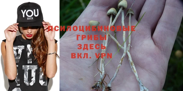 a pvp Балабаново