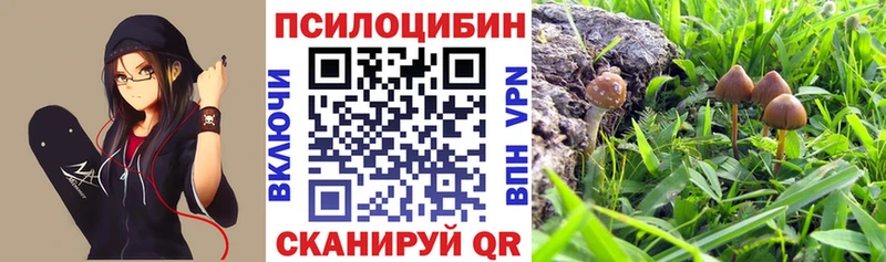 Псилоцибиновые грибы GOLDEN TEACHER  Апрелевка 
