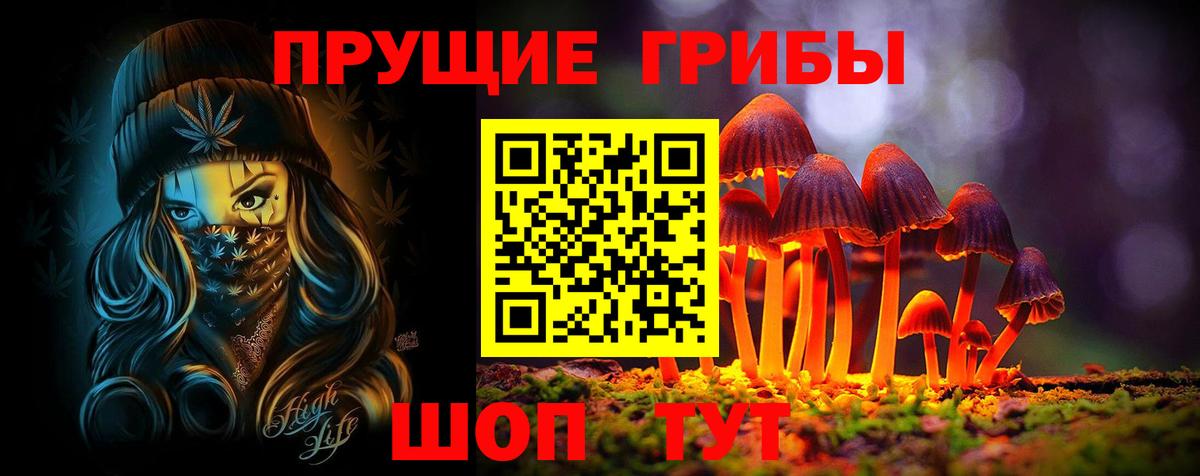 Псилоцибиновые грибы Psilocybine cubensis  Апрелевка  Галлюциногенные грибы мицелий 